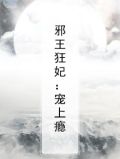 邪王狂妃：宠上瘾