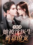 小娇妻她被沈医生蓄意撩宠