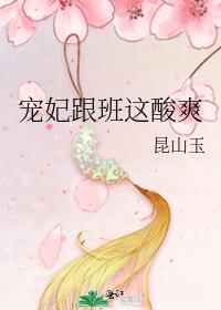 宠妃by