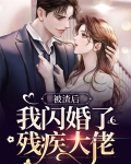 被渣后,我闪婚了残疾大佬小说