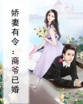 娇商 小说