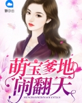 萌宝爹地闹翻天免费阅读