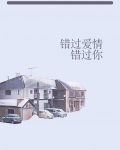错过爱情错过你原唱歌词