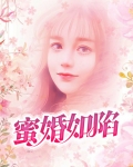 婚如蜜恋 小说