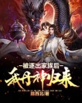 被逐出家族的叶辰小说