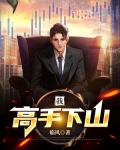我高手下山叶凡