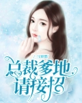 一胎三宝 总裁爹地宠妻成瘾