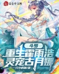 霍雨浩重生斗破的小说