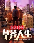 重返1994:草莽人生小说