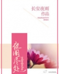 夜阑尽处简介