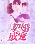 契婚成宠:老婆竟是千亿大佬免费阅读漫画