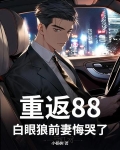 小说重返1987免费阅读