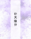 福建省艺术专业排名