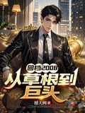 回档2008，从草根到巨头